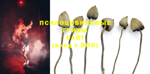 стафф Новокубанск