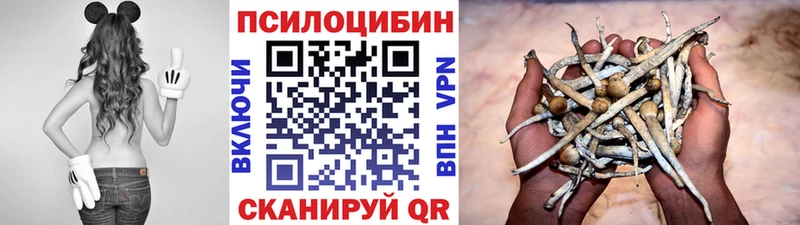 Псилоцибиновые грибы прущие грибы Динская