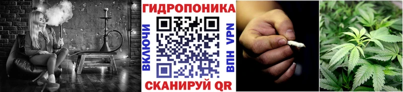 Шишки марихуана OG Kush  darknet формула  Динская 